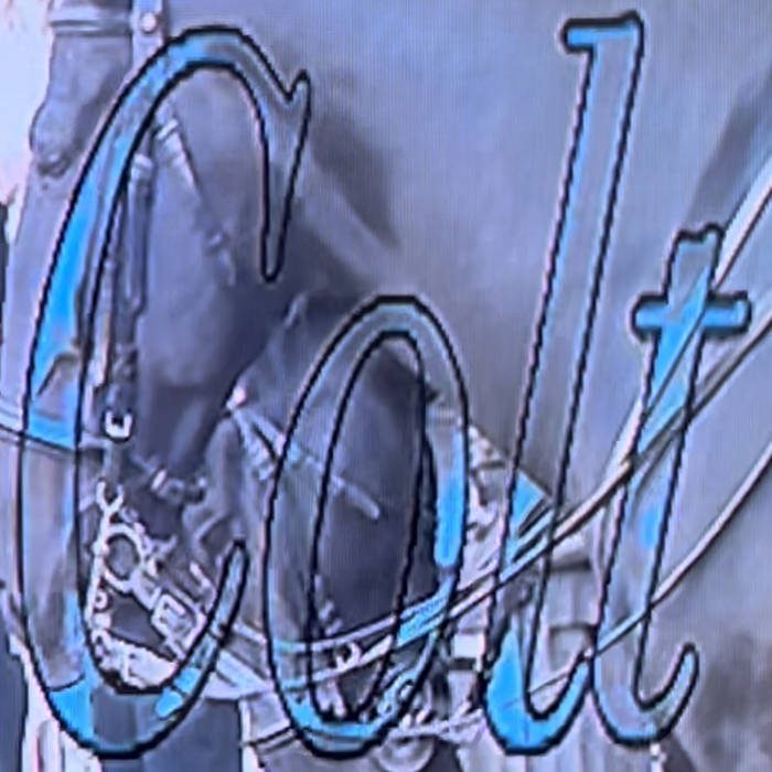 Highschool_Colt_Album_Cover